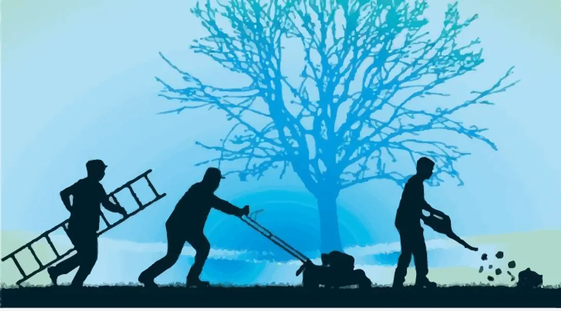 image d'illustration